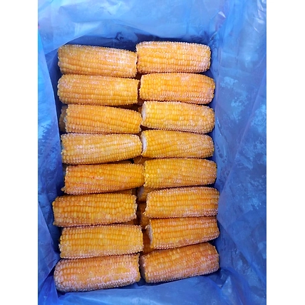 Frozen Corn On cobs-2