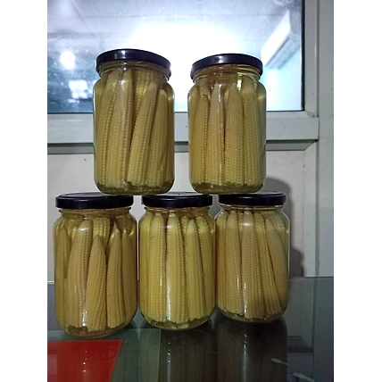 Glass bottle Baby corn-1