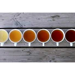 Tea Taster TEA TASTING