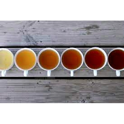 TEA TASTING-4