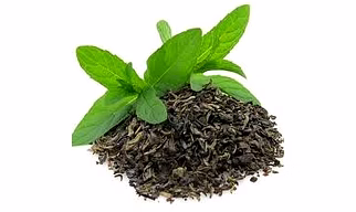 GREEN TEA LEAF