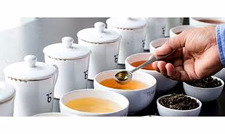 TEA TASTING