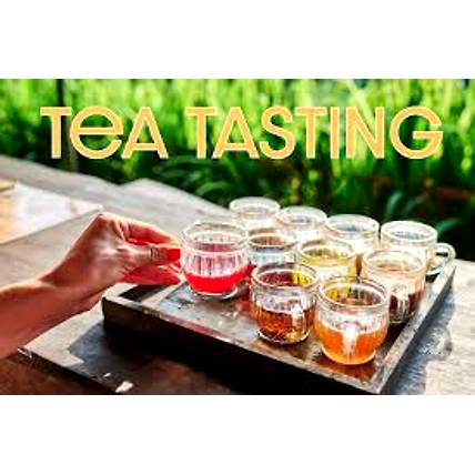 TEA TASTING-1