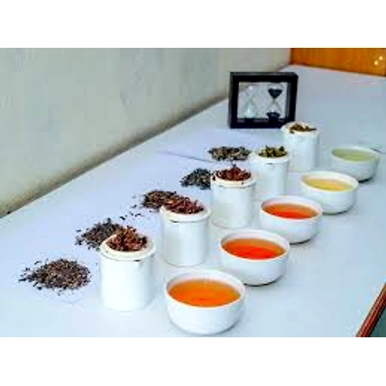 TEA TASTING-2