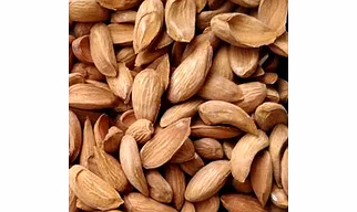 Mamra Almonds