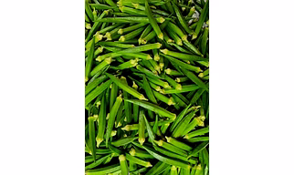 Okra, lady finger