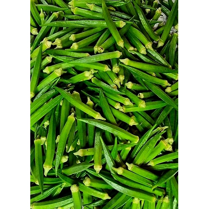 Okra, lady finger-12438280