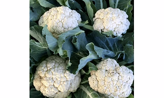 Cauliflower
