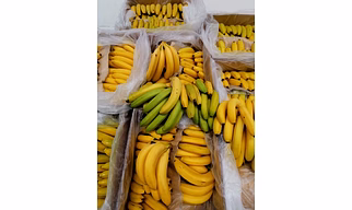 Banana