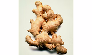 Ginger