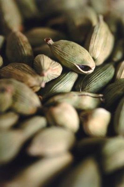 Cardamom-3