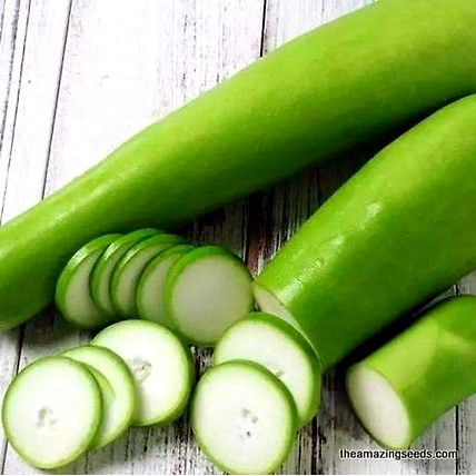 Bottle gourd-2