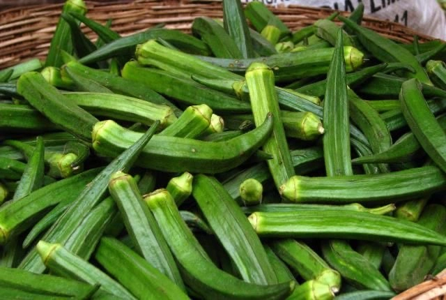 Okra, lady finger-2