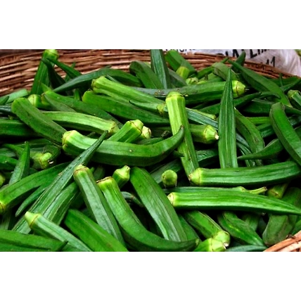 Okra, lady finger-2