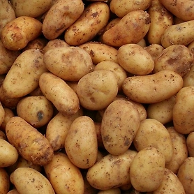 Potatoes