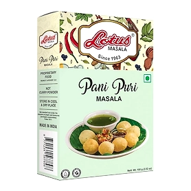 Pani Puri Masala Powder | Golgappa Spice Masala 100gm (10 kg Pack)