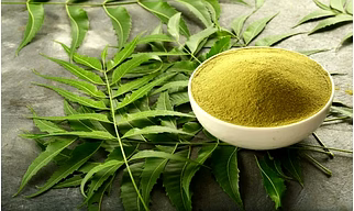 NEEM LEAVES POWDER