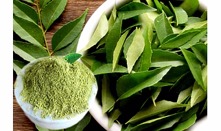 CURRY LEAVES POWDER