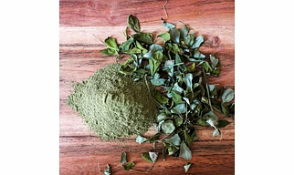 DRIED MORINGA LEAVES