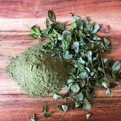 DRIED MORINGA LEAVES-12596896
