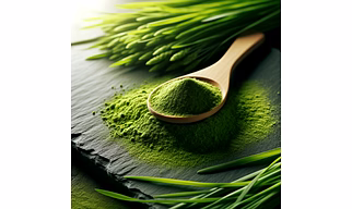 Wheatgrass Powder