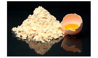 Premium Spray-Dried Egg Yolk Powder for Culinary Excellence