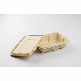 alternuts customizable sugarcane bagasse rectangular disposable container with lid oil water resistance for takeout and delivery