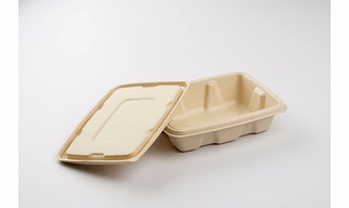 Customizable Sugarcane Bagasse Rectangular Disposable Container with Lid Oil Water Resistance for Takeout and Delivery