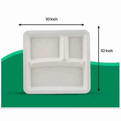 100% Natural Disposable Biodegradable 3 Compartment 10 Inch Square Tray-1