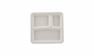 100% Natural Disposable Biodegradable 3 Compartment 10 Inch Square Tray