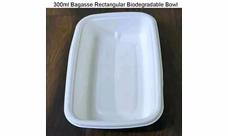 Bagasse Bowl 10 OZ Smart Bagasse Disposable Tray