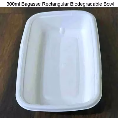 Bagasse Bowl 10 OZ Smart Bagasse Disposable Tray-300 Ml-NO-Square-Bagasse Plate-1