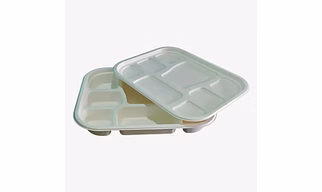 8 CP Meal Tray Lid B2B Disposable Party Trays with Lid sugarcane Bagasse Tray