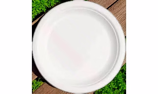 Disposable 6 Inch Deep Sugarcane Bagasse Plate White