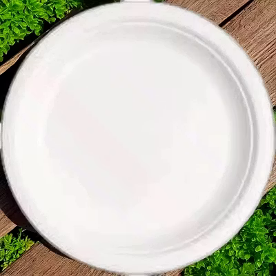 Disposable 6 Inch Deep Sugarcane Bagasse Plate White-12710197