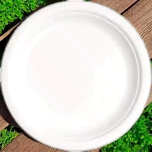 Disposable 6 Inch Deep Sugarcane Bagasse Plate White