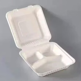 sugarcane bagasse 8x8 3cp clamshell box fruit and salad box