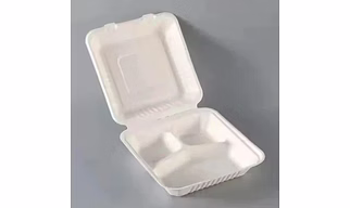 Sugarcane Bagasse 8X8 3CP Clamshell Box Fruit and Salad Box