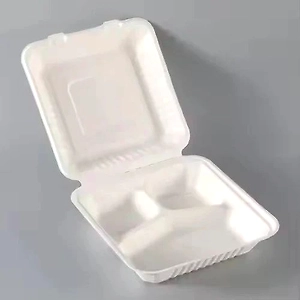 Sugarcane Bagasse 8X8 3CP Clamshell Box Fruit and Salad Box