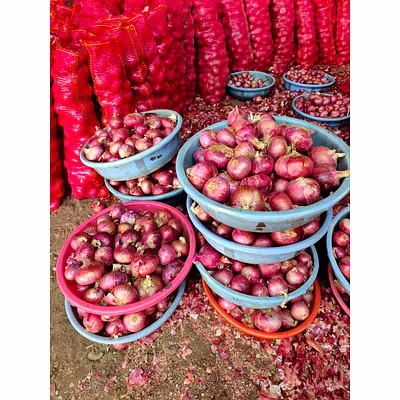 Fresh Onion-4