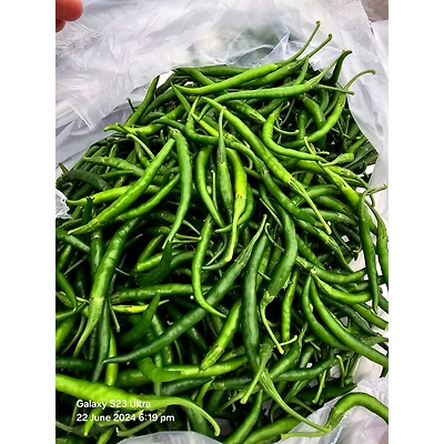 Green Chilly-2