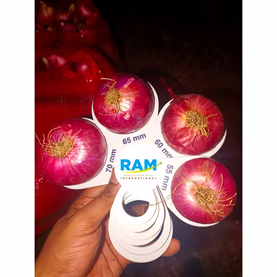 Fresh Onion-1