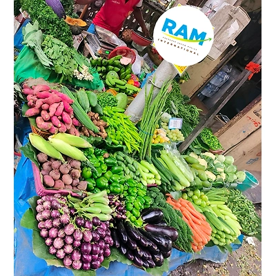 FRESH VEGETABLES-2