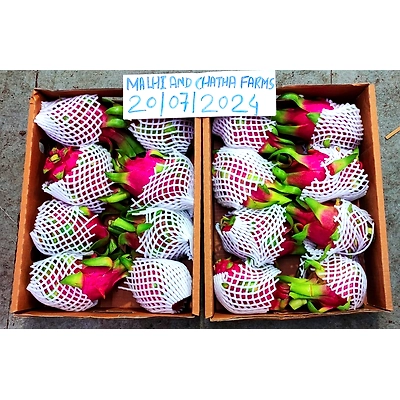 FRESH VEGETABLES-4