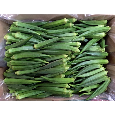 FRESH VEGETABLES-3
