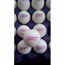 indian fresh eggs