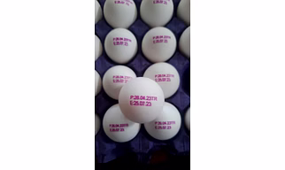 Indian Fresh Eggs