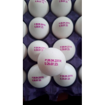 Indian Fresh Eggs-12735995