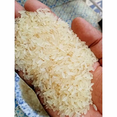 RIce - Basamati, Non-Basmati, IR64 etc-1