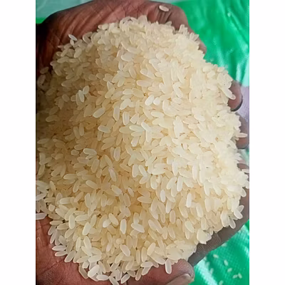 RIce - Basamati, Non-Basmati, IR64 etc-2